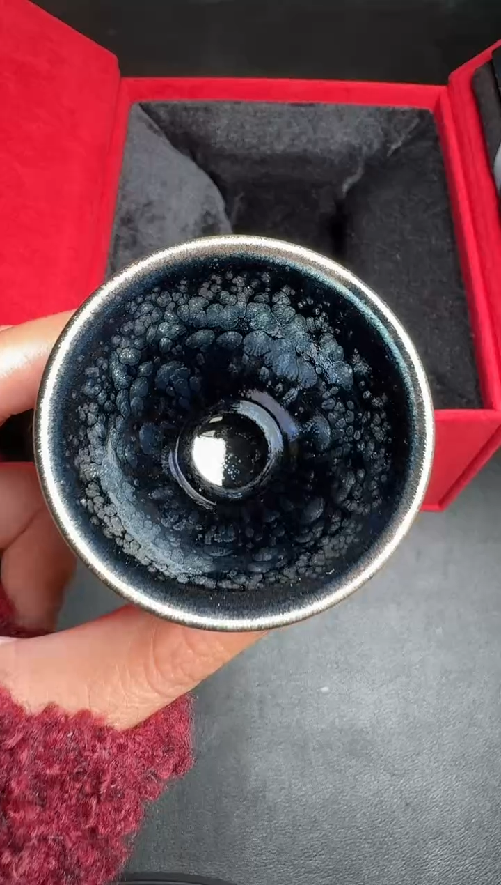 【闪购商品】茶盏阙梅娇黑牡丹60