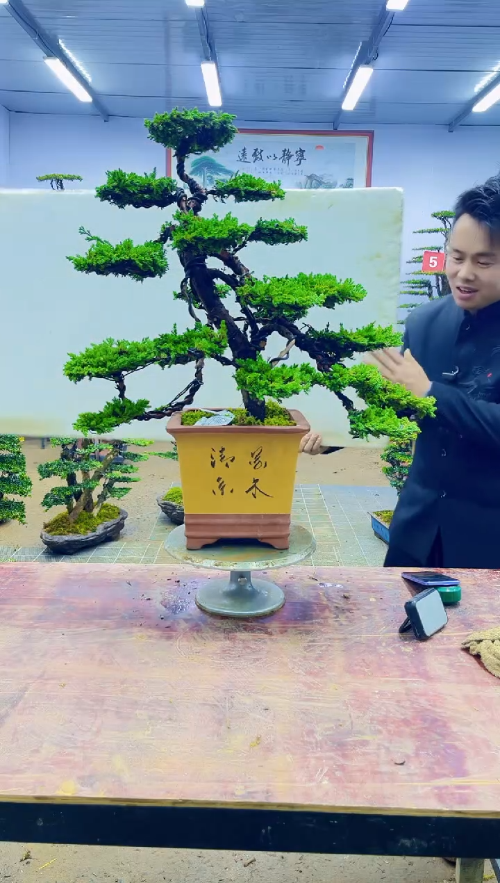 【闪购商品】一物一拍，所见即所得