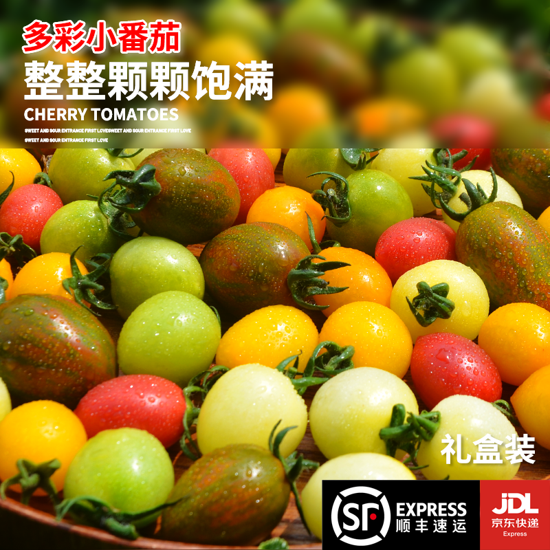 [顺丰/京东包邮]山东四色/六色小番茄“一番好柿”礼盒低糖水果现摘