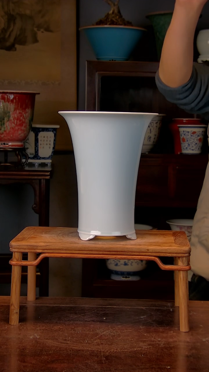 【闪购商品】红陶1