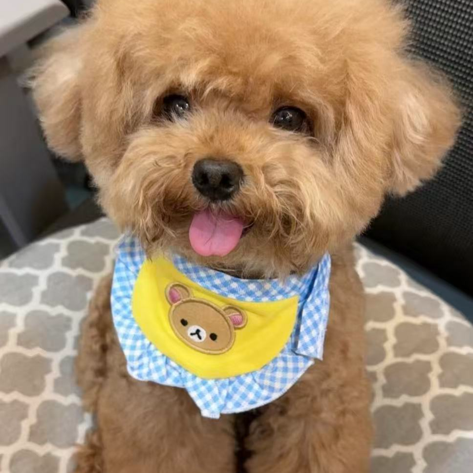自选小型犬  泰迪宠物衣服hh