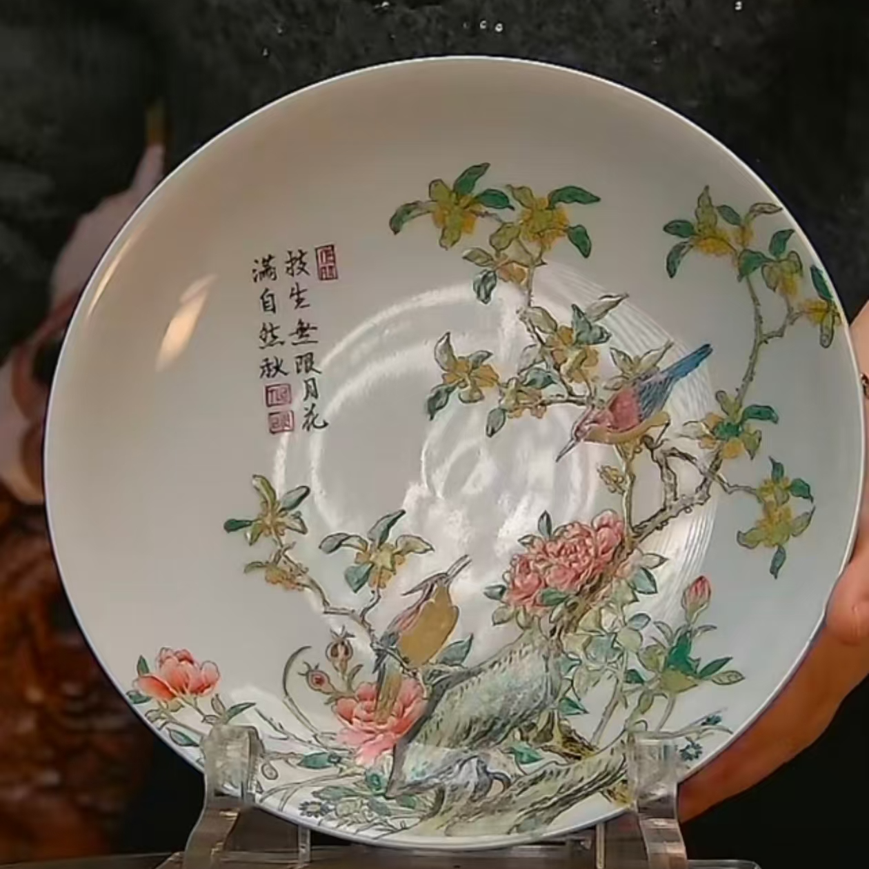 清   粉彩锦鸡赏盘