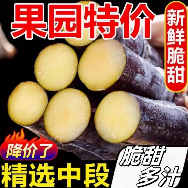 广西黑皮甘蔗新鲜现砍当季水果脆甜多汁可榨汁