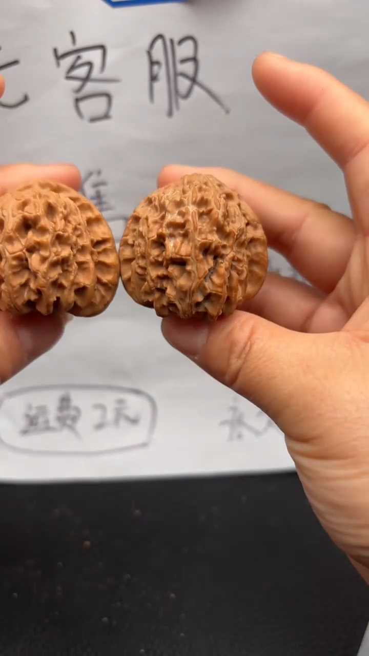 把件文玩核桃196白狮子