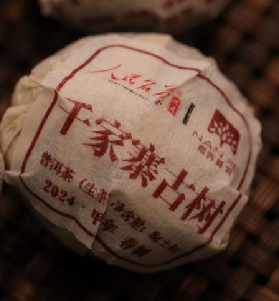 【尾货专场】人民丨南界 2024年千家寨古树龙珠 名山名寨古树纯料