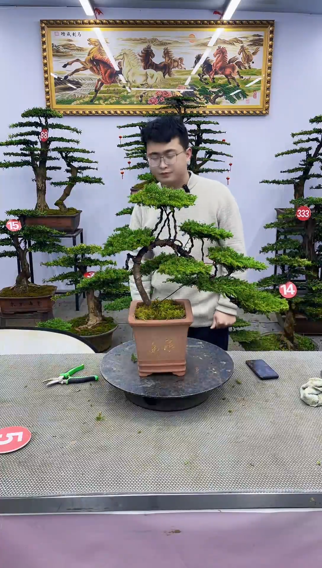 【闪购商品】一物一拍，所见即所得啊啊啊