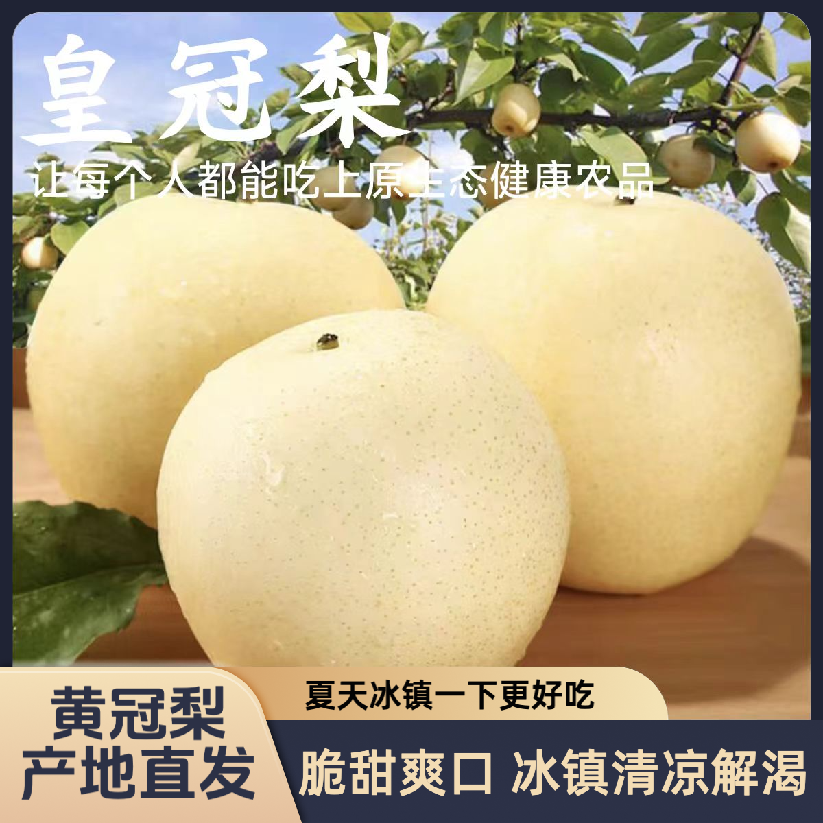 正宗皇冠梨白皮梨坏果包赔脆甜多汁当季新鲜水果产地直发煮水熬汤