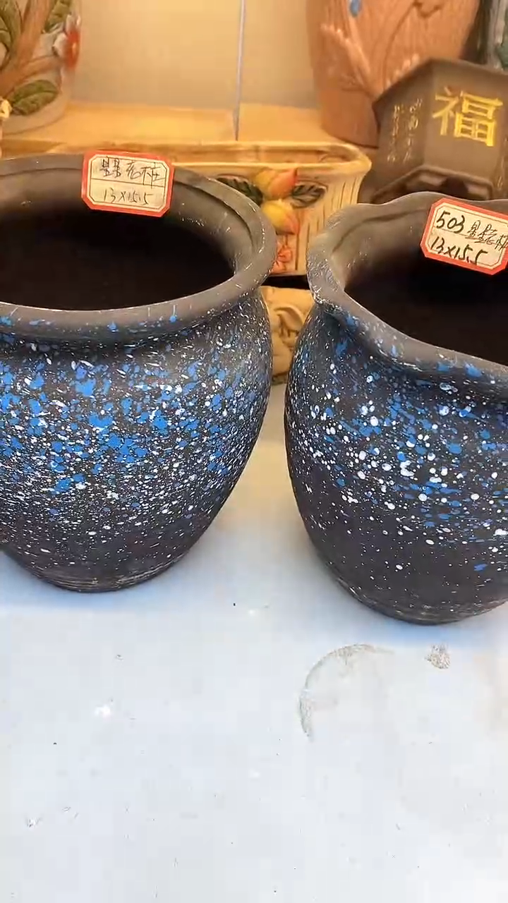 @@陶瓷多肉花盆503星星老桩2件套