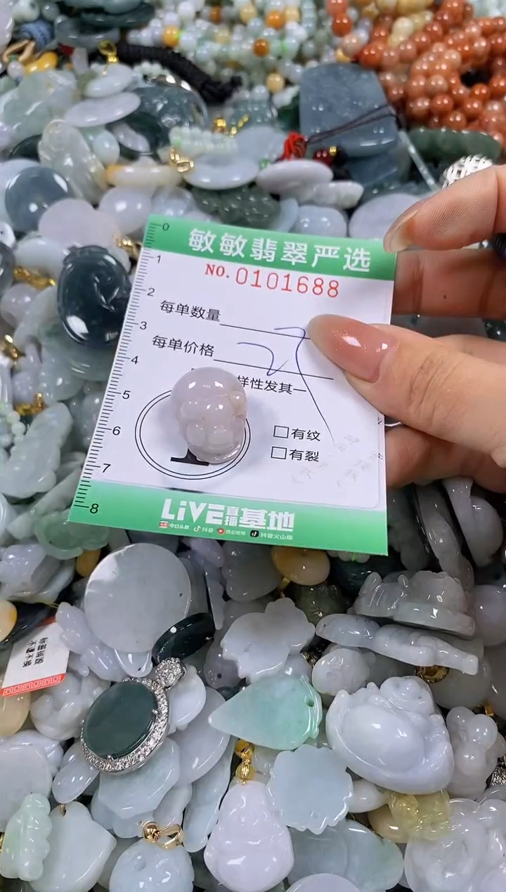 【闪购商品】翡翠颈饰未镶嵌闪购链接0101688