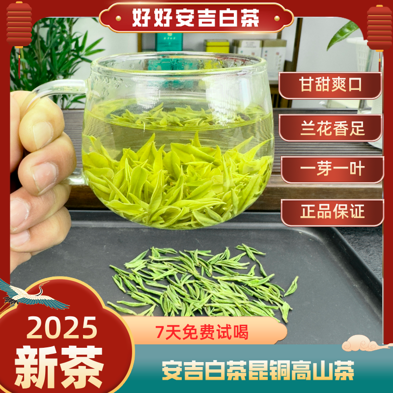 【福利小芽】新茶安吉白茶昆铜原产地高山茶兰花香鲜爽新茶叶