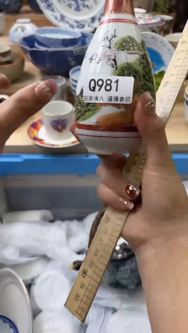 【闪购商品】瓷片981qqqqqqqqqqqq