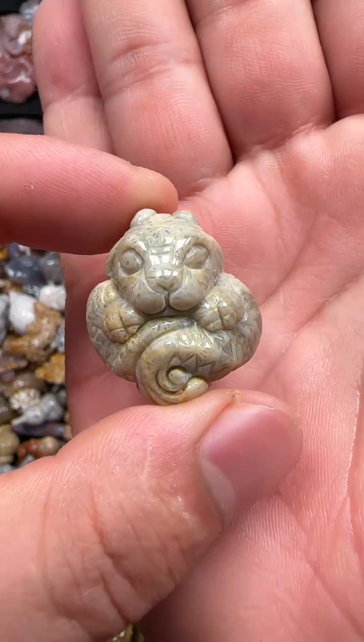 【闪购商品】硅化珊瑚（珊瑚玉）颈饰未镶嵌400