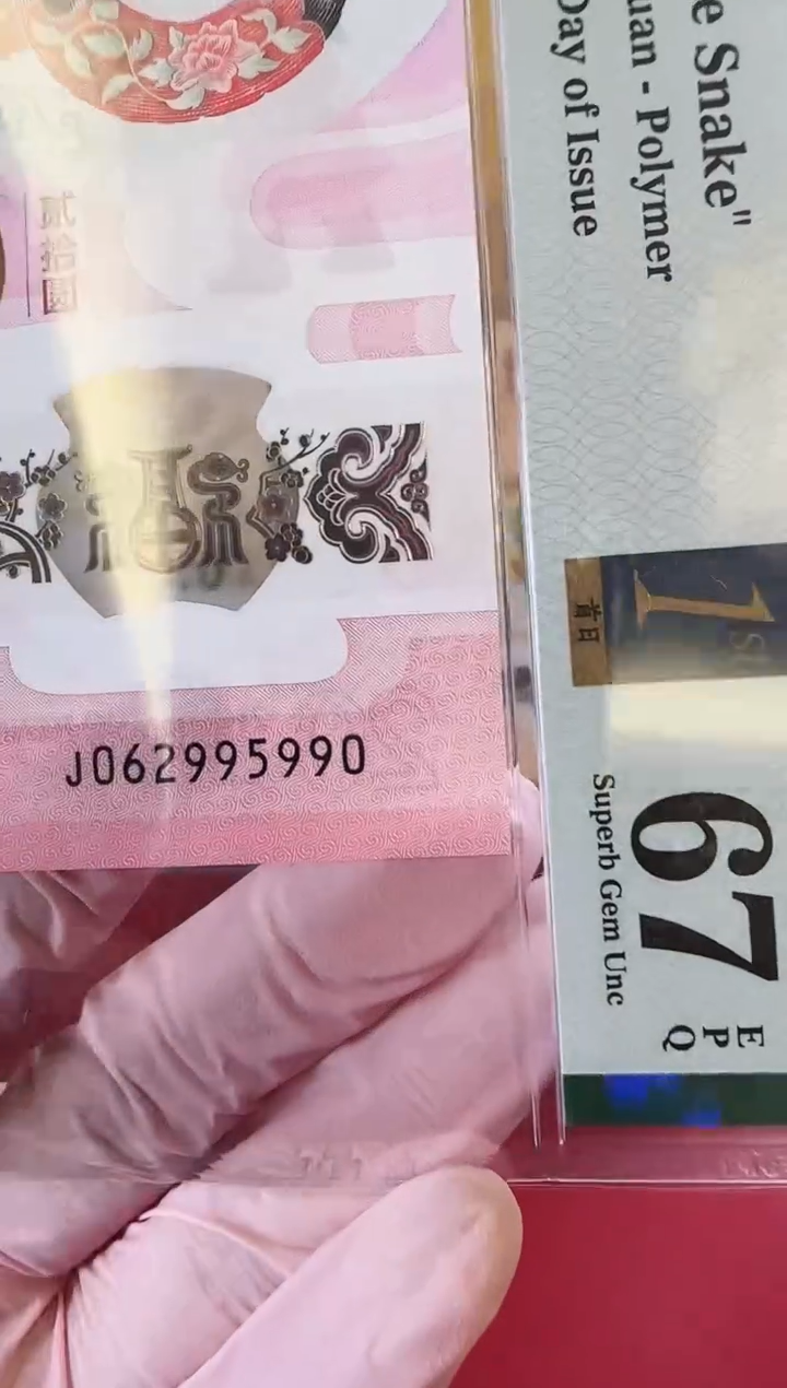 【闪购商品】塑料2025蛇钞单张裸啊啊啊啊