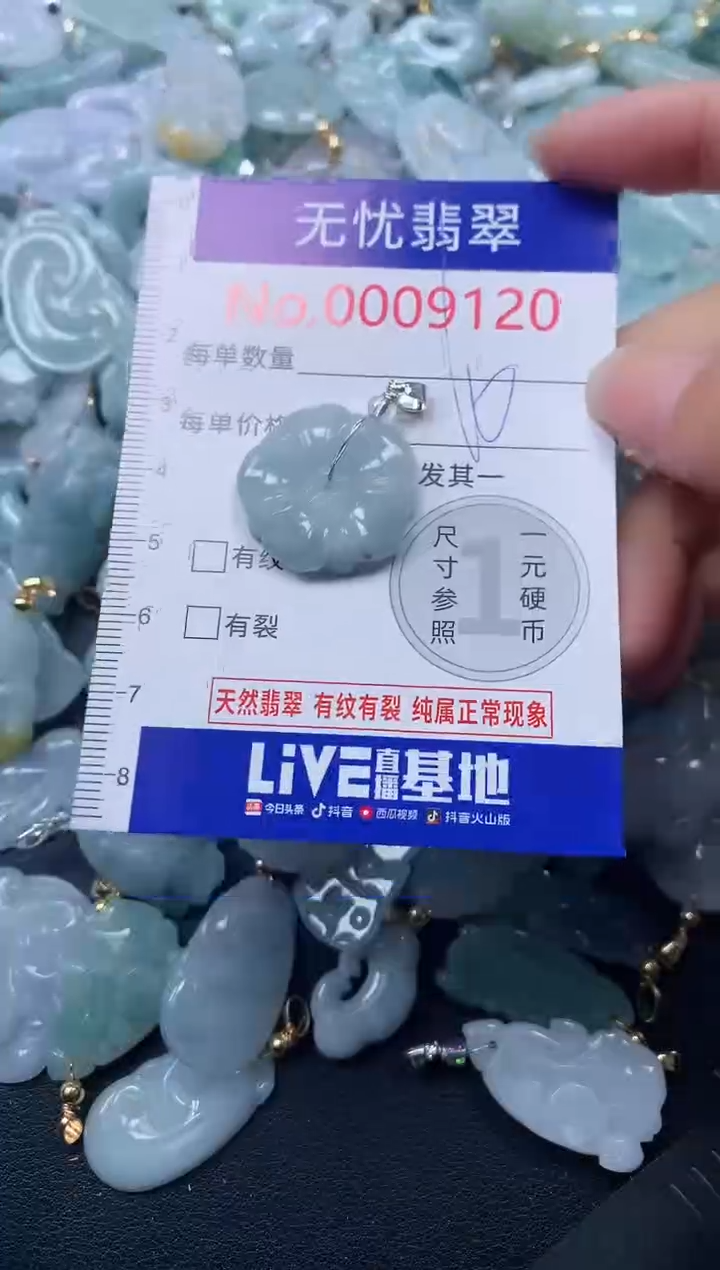 颈饰未镶嵌翡翠9120