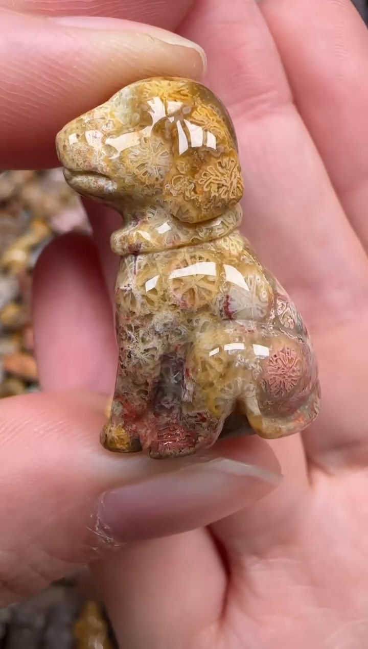 硅化珊瑚（珊瑚玉）未镶嵌颈饰130