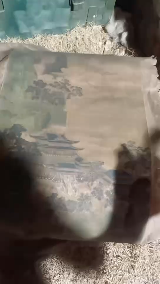 香榧木（1个破纸）