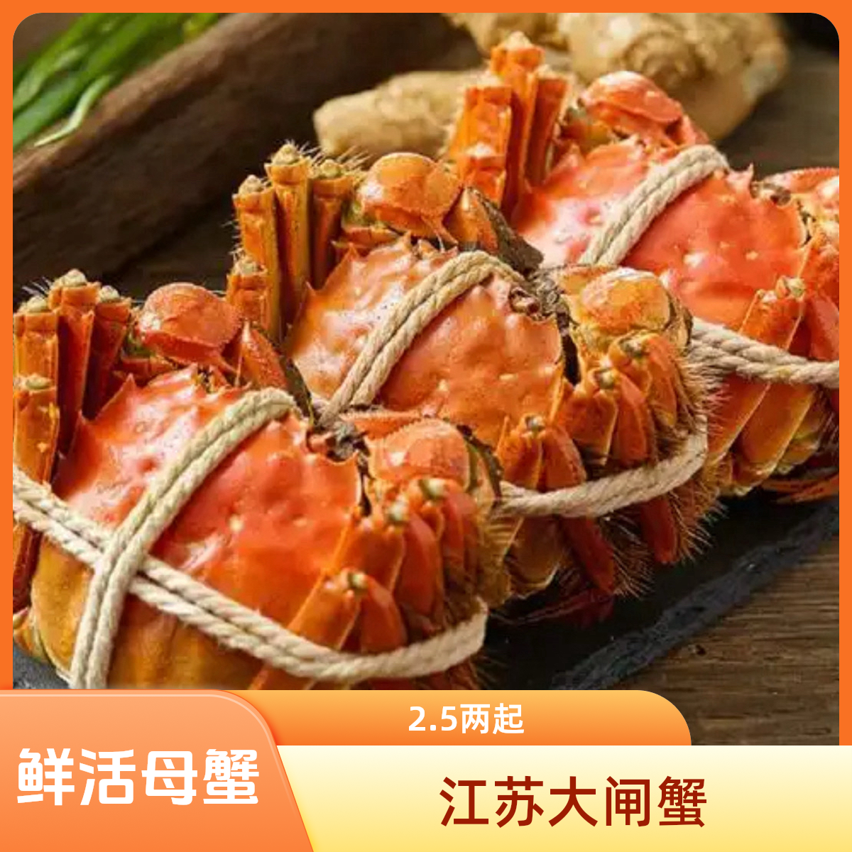 【鲜活】江苏大闸蟹2.5两母蟹/3两公蟹 多只可选