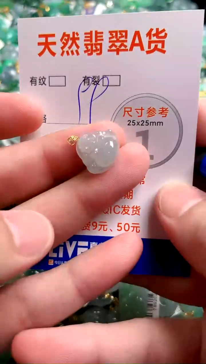 翡翠18K金镶嵌颈饰13003299