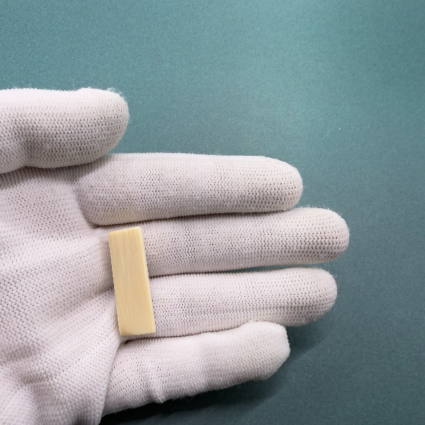 E6306天然猛犸牙牙尖支持鉴定 假一罚四