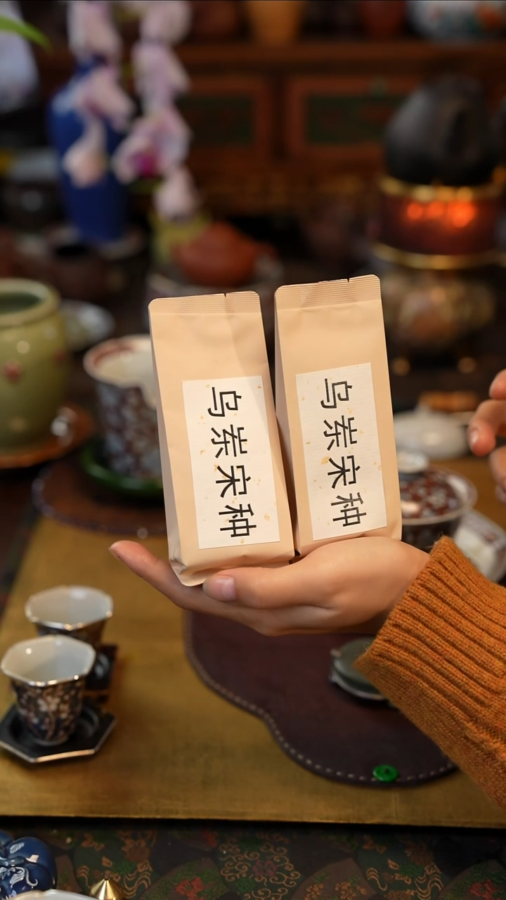 宋种2 景德镇陶瓷福利款