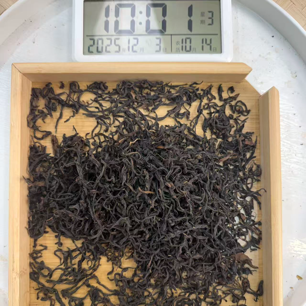 司丽严选-2362号2025年易武荒野红茶散茶12-03