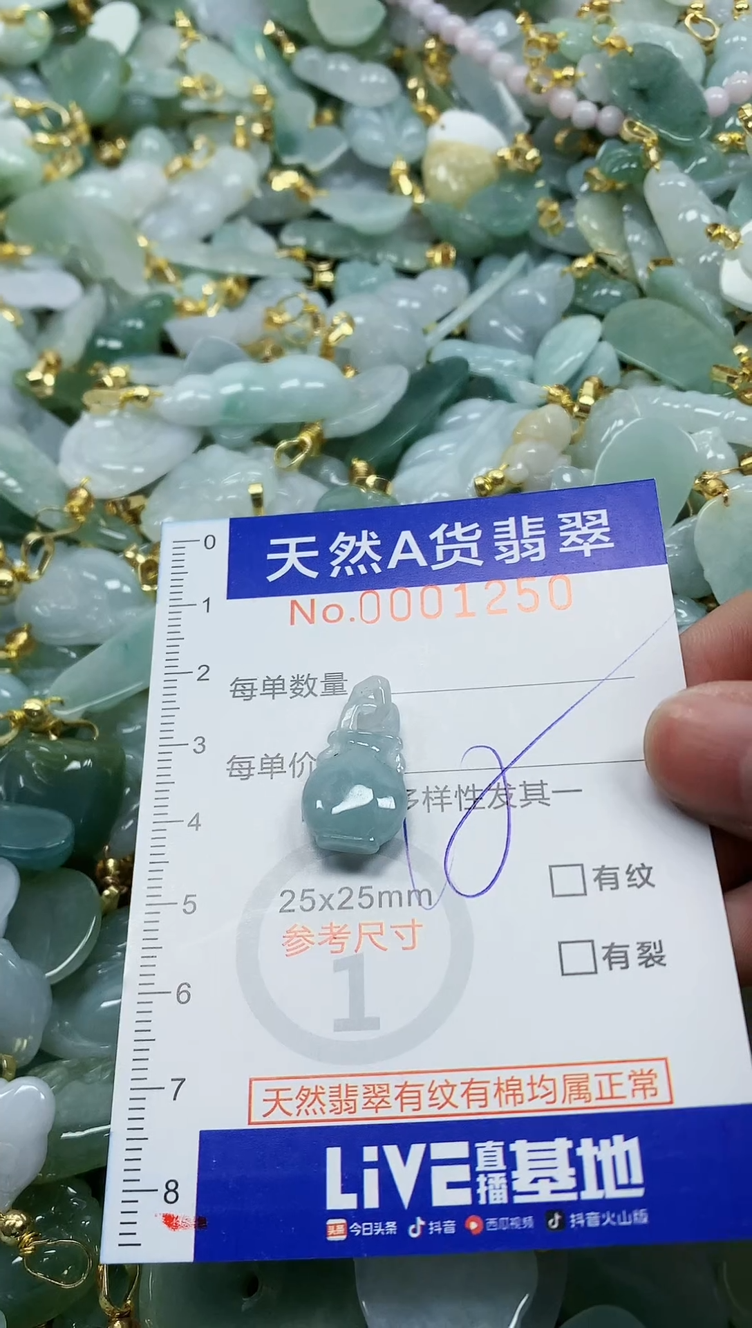 颈饰未镶嵌翡翠纯天然a货翡翠
