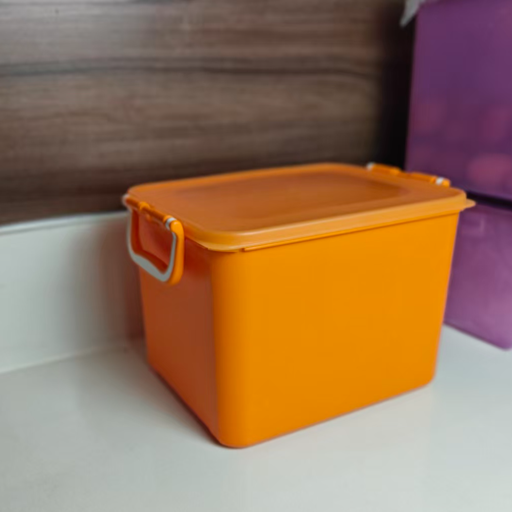 （外）9.1升桔色矩形腌泡箱（28*22*20）/保鲜/密封/成人