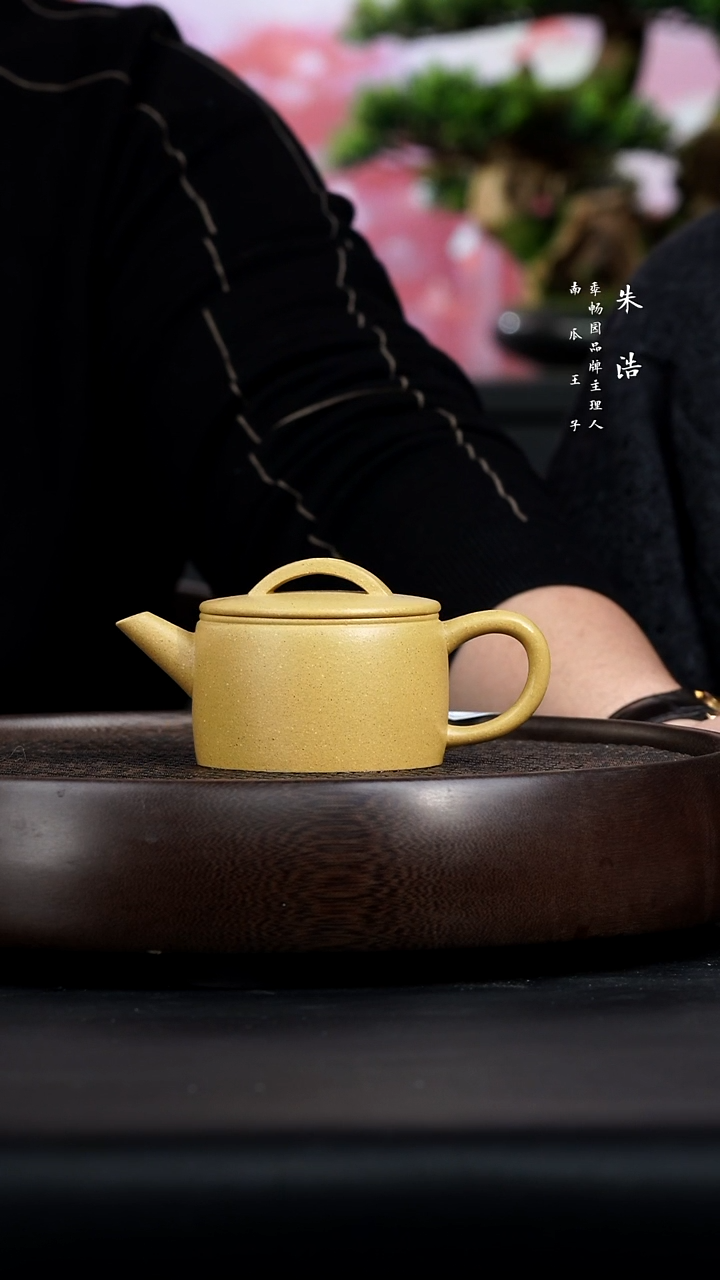 【闪购商品】紫砂茶壶0203初六场直播季畅园BOX3