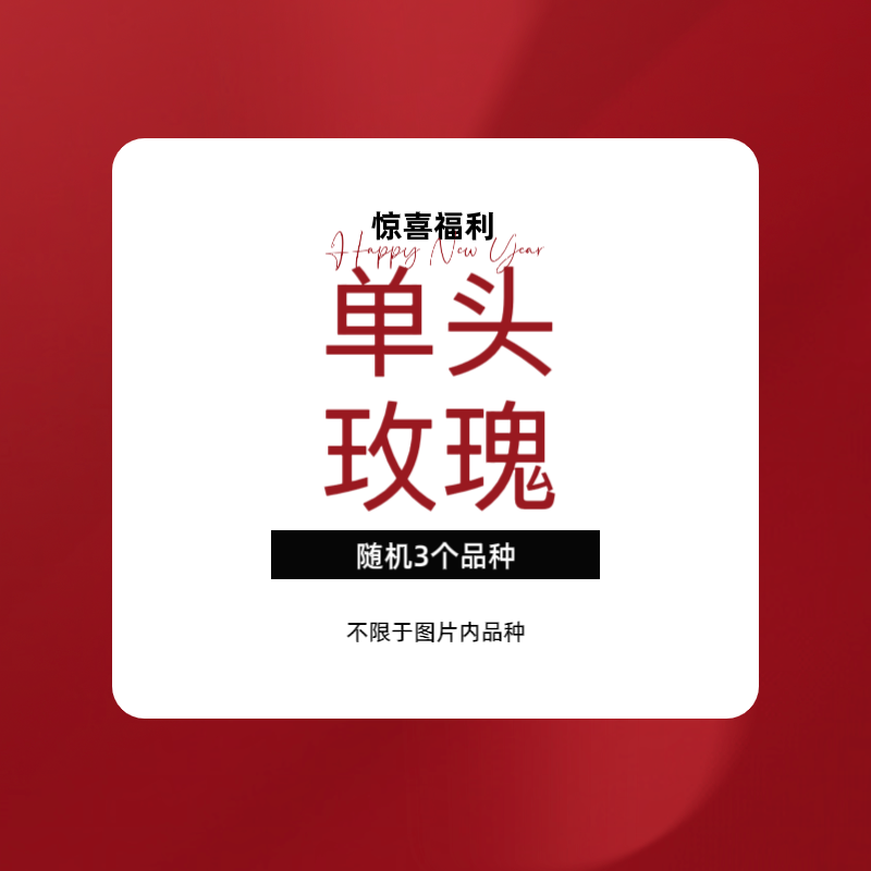 【单头玫瑰福利】任意拍两单升级顺丰三单送配草 云南鲜花基地直发