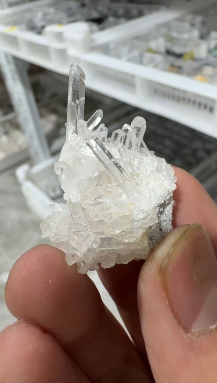 【闪购商品】月下珠宝严选矿物