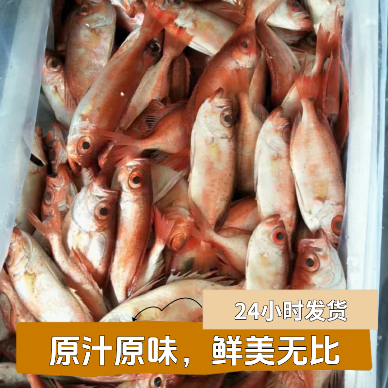 汕尾本港 野生《红目连.大眼鱼》