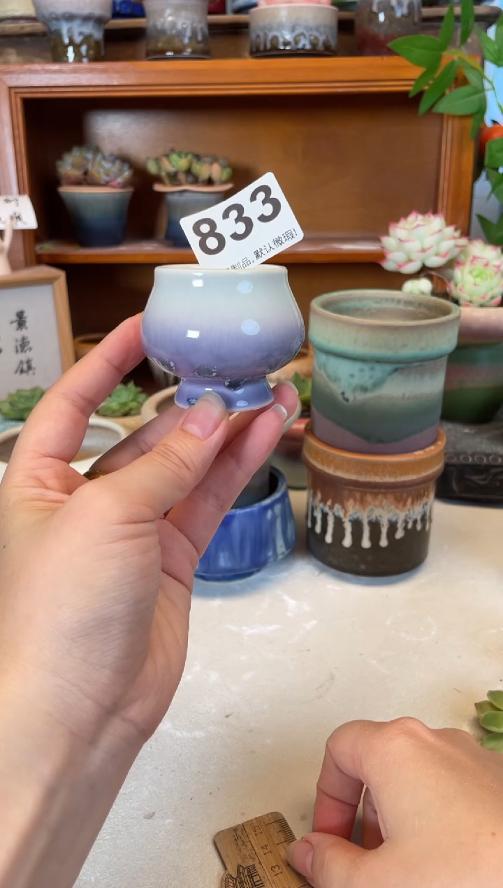 瓷片833小芳直播编号