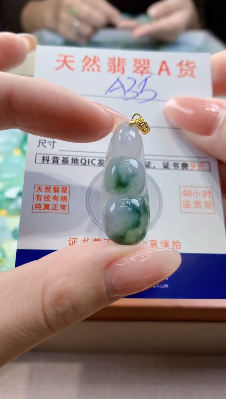 颈饰未镶嵌翡翠天然A货翡翠挂件