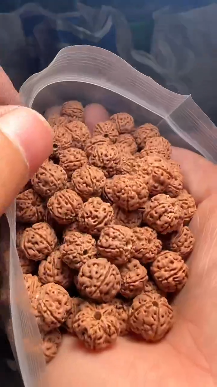 金刚菩提手串非全品老树梅花散籽10-11mm一份一百颗