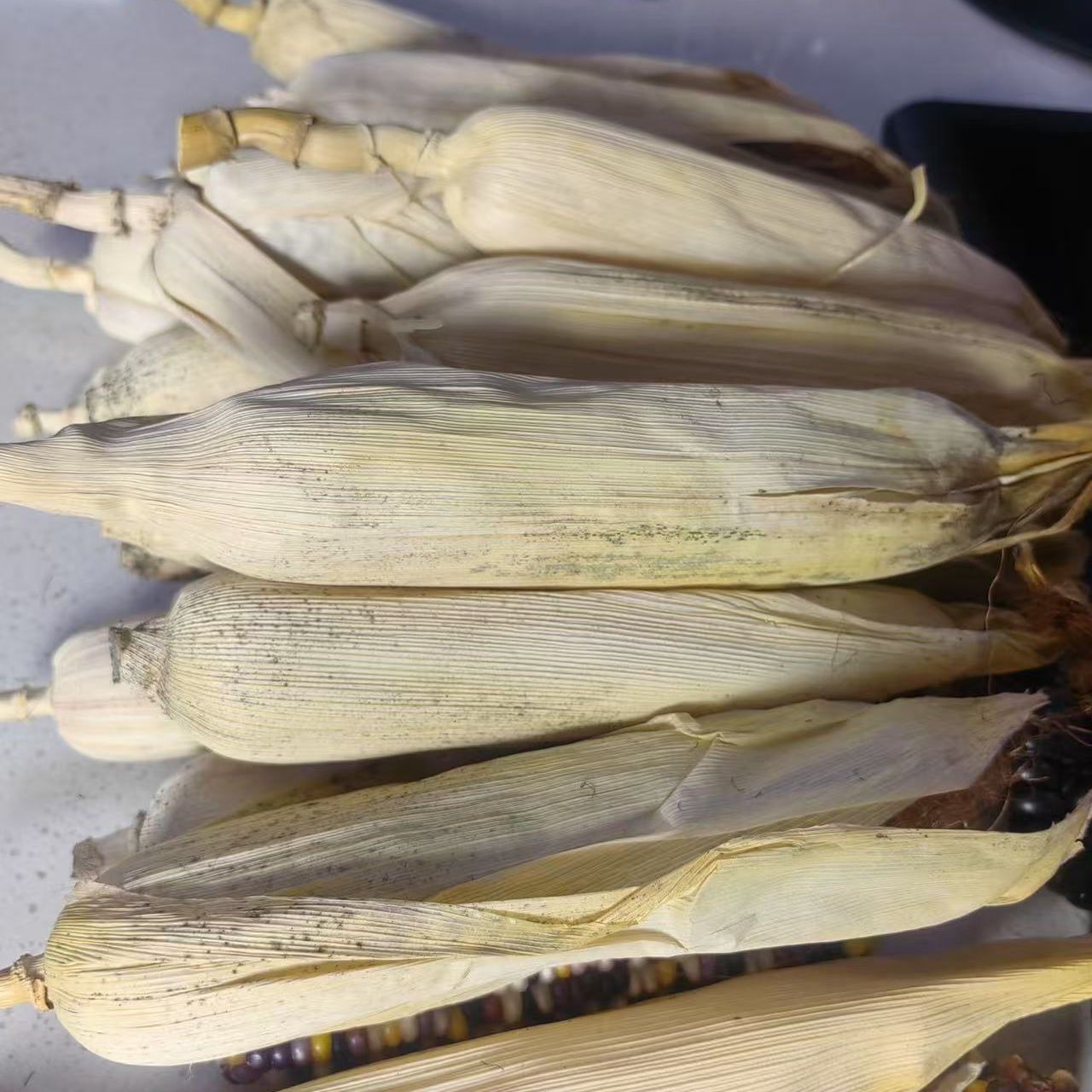 七彩玉米毛料，一物一拍，直播间看好下单，不退不换