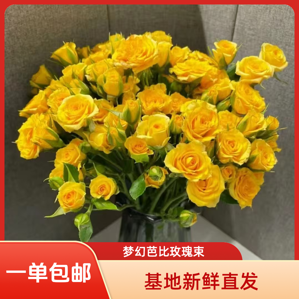 （一单包邮） 梦幻芭比多头玫瑰 鲜花云南昆明鲜花直发