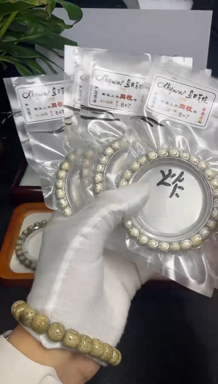 星月菩提手串8*7灰背河豚海南原生态单圈