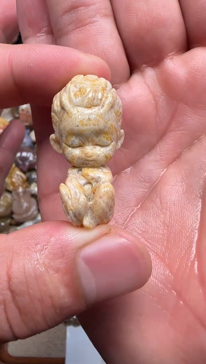 【闪购商品】硅化珊瑚（珊瑚玉）颈饰未镶嵌312