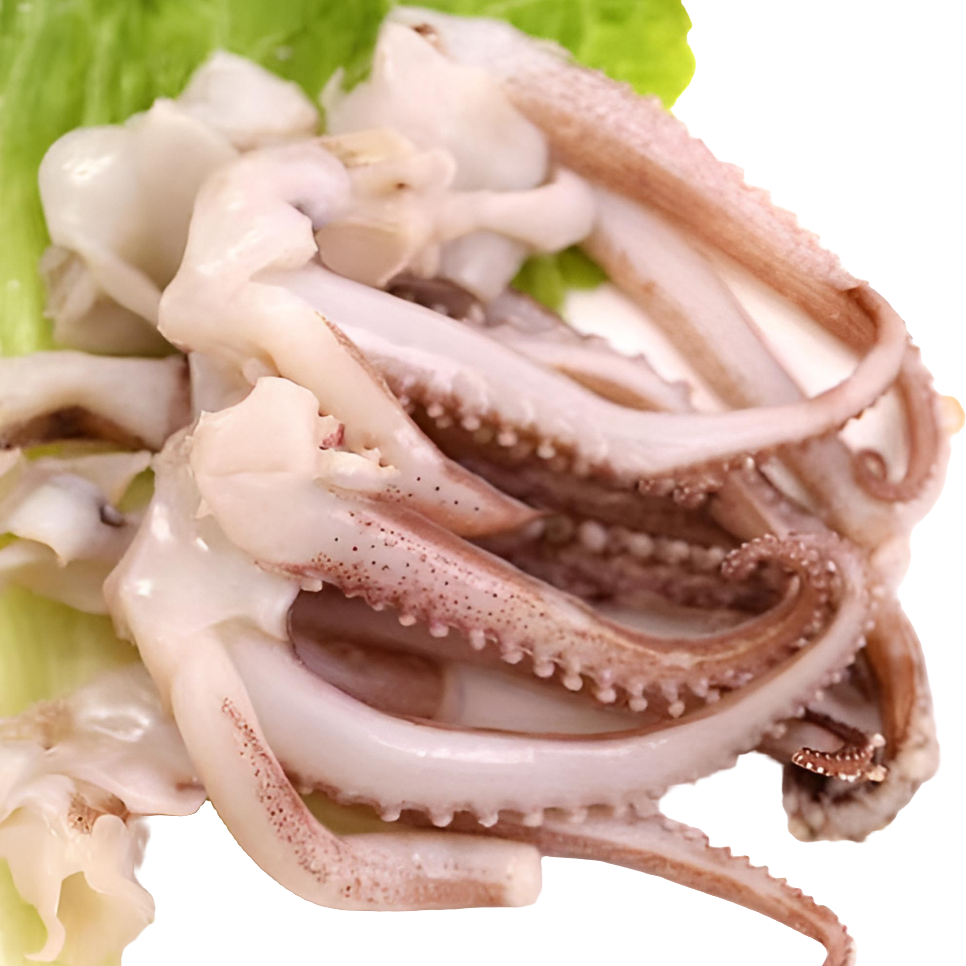【冰鲜冻货】鱿鱼须 约500g/份