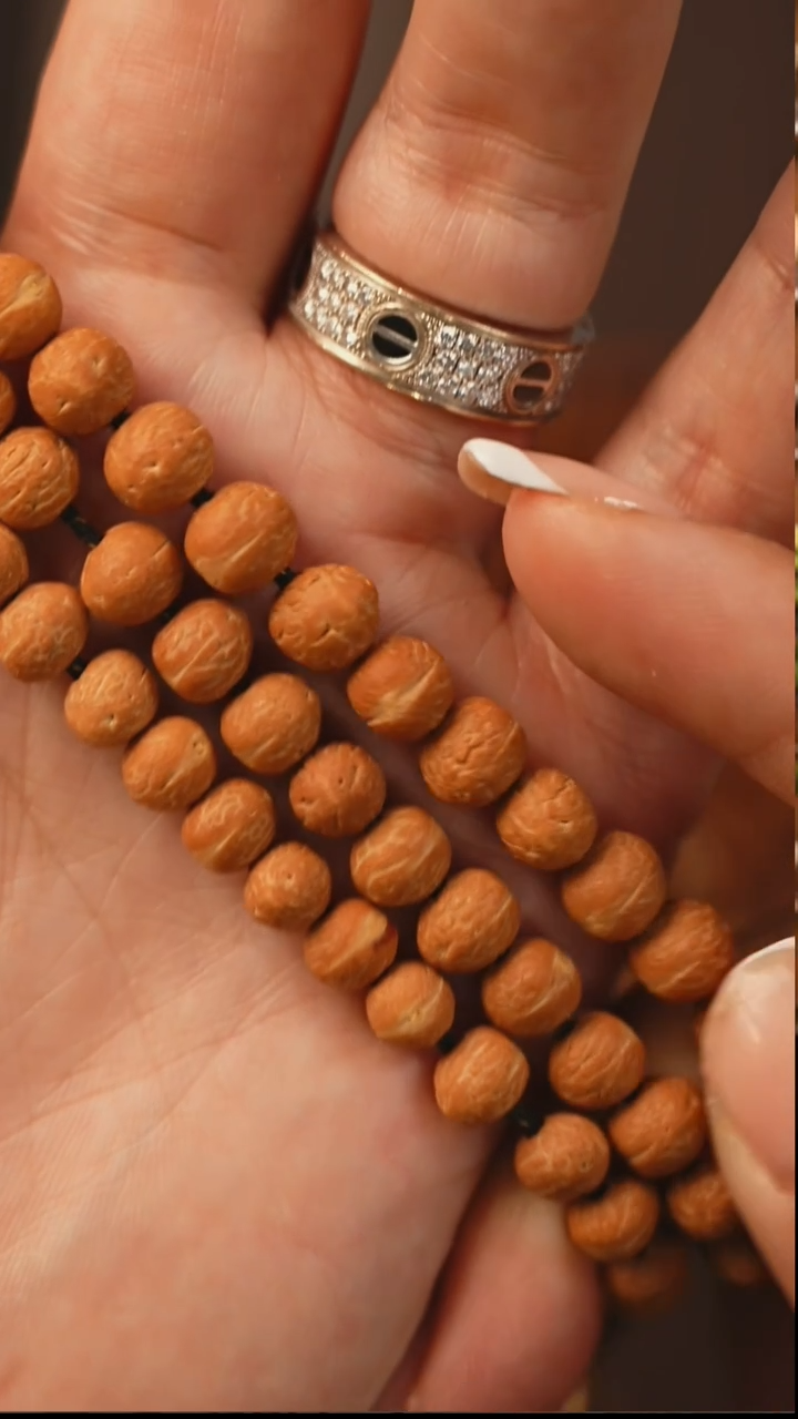 手串金刚菩提S16酸枣核单圈