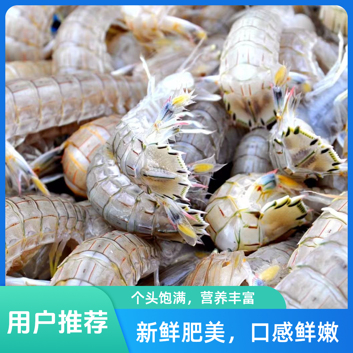 【保鲜不保活】悦果先生皮皮虾（1斤）海鲜，同城送，小时达