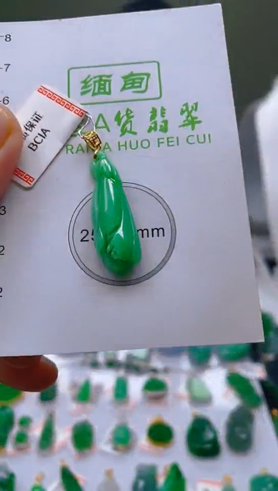 【闪购商品】翡翠颈饰18K金镶嵌新号开播，全场乱卖