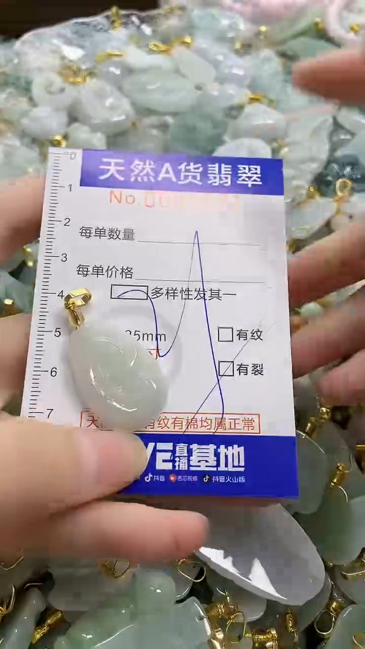 颈饰未镶嵌翡翠天然A货翡翠