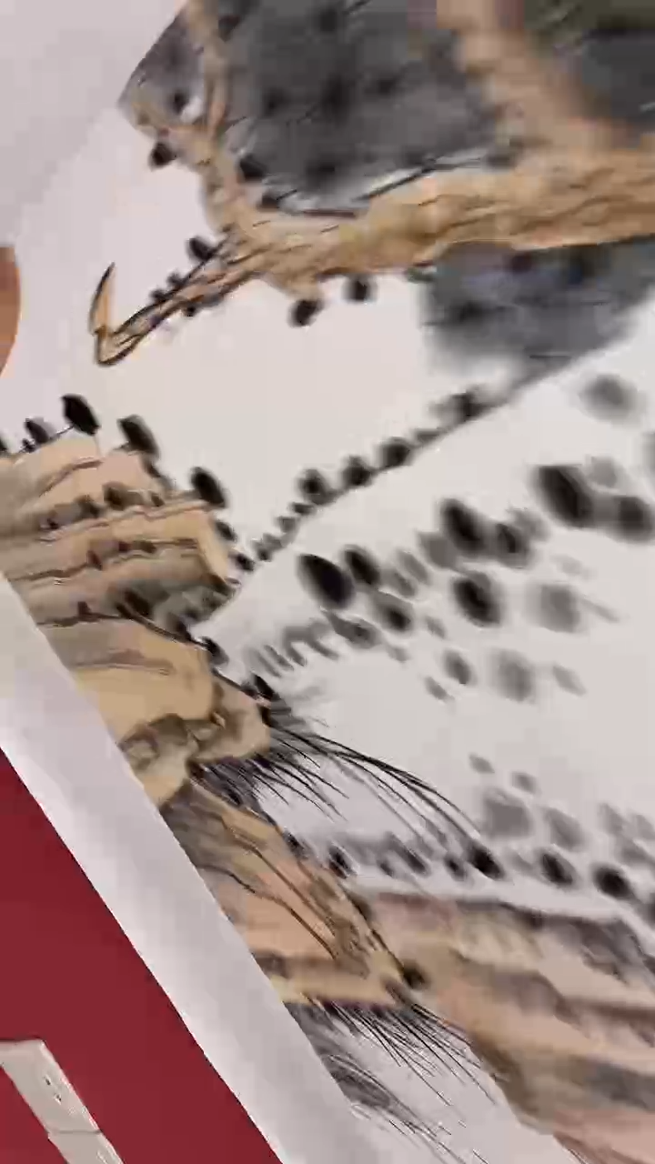 国画云崖听风        