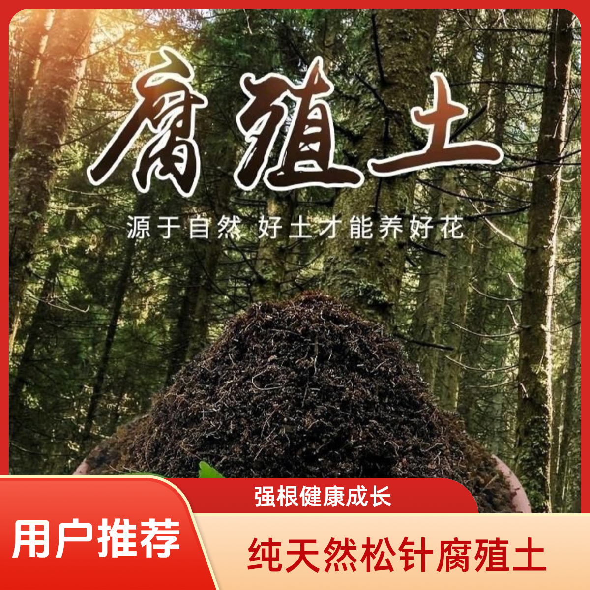 云南松针腐殖土育苗正宗兰花专用君子兰专用土壤园艺用品