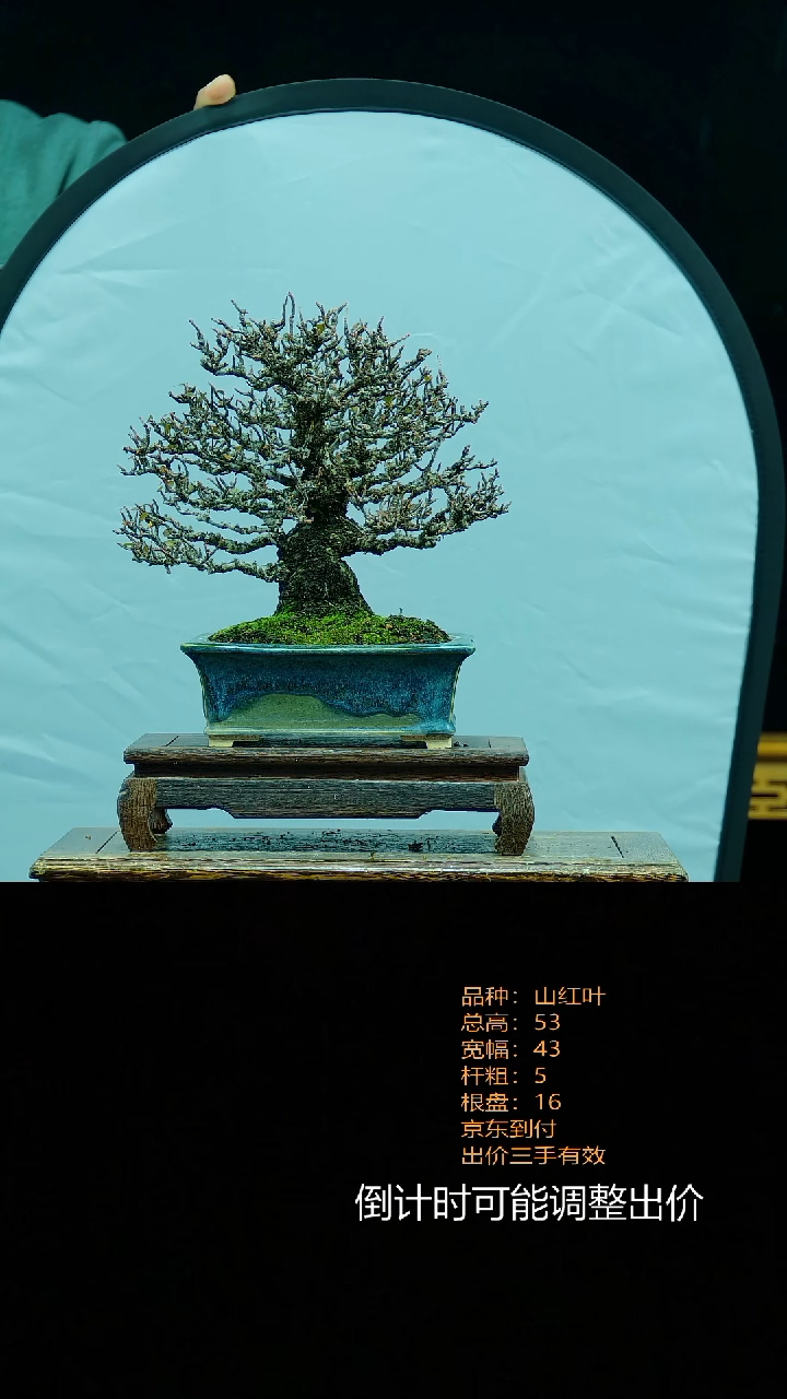 【闪购商品】00000