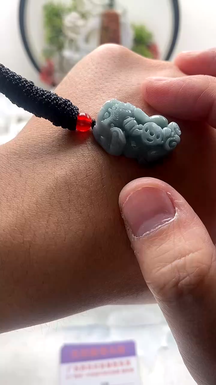 颈饰未镶嵌翡翠貔貅y