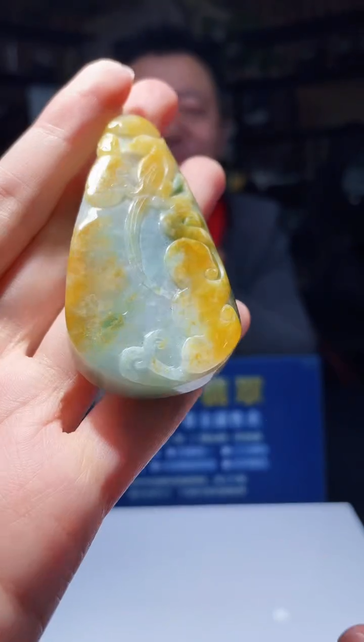 【闪购商品】翡翠颈饰未镶嵌M-@@BLGC021214