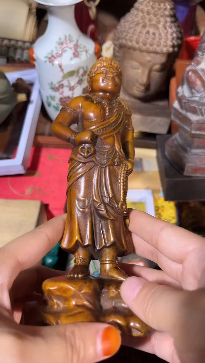 黄杨木1111111111111111
