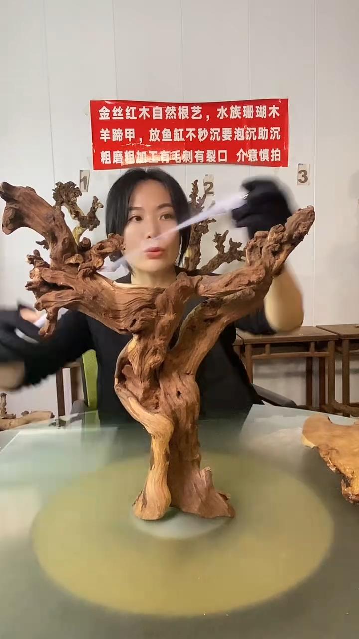木?***?金丝红木 羊蹄甲